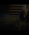 Selena_Gomez_-_This_is_the_Year_28Official_Premiere_Event29_-_YouTube_281080p29_mp40040.png